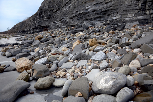 Palaeontologists and tourists looking for fossils on beach after landslide